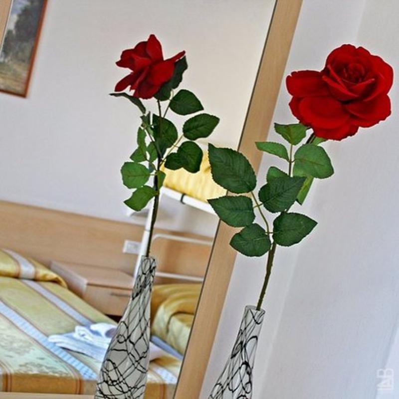Hotel New Primula Римини Екстериор снимка